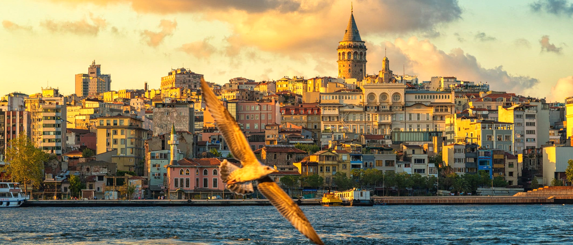 Turkish Citizenship by Investment